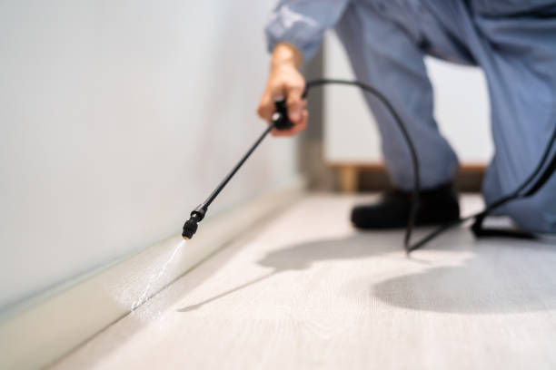 Licensed Cockroach Control service in Summerville, SC - Nex Pest Control
