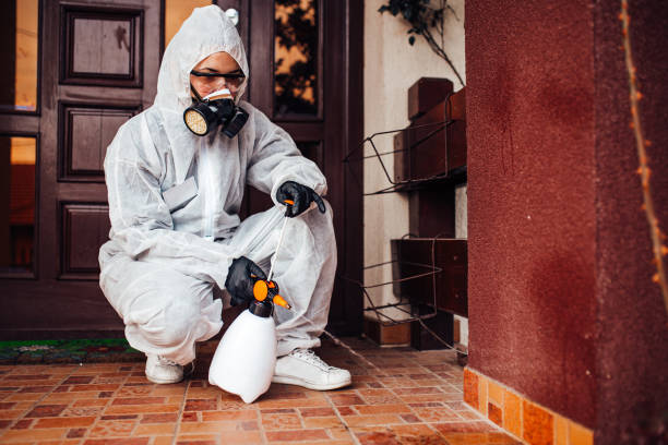 Reliable Cockroach Control contractor in Summerville, SC by Nex Pest Control